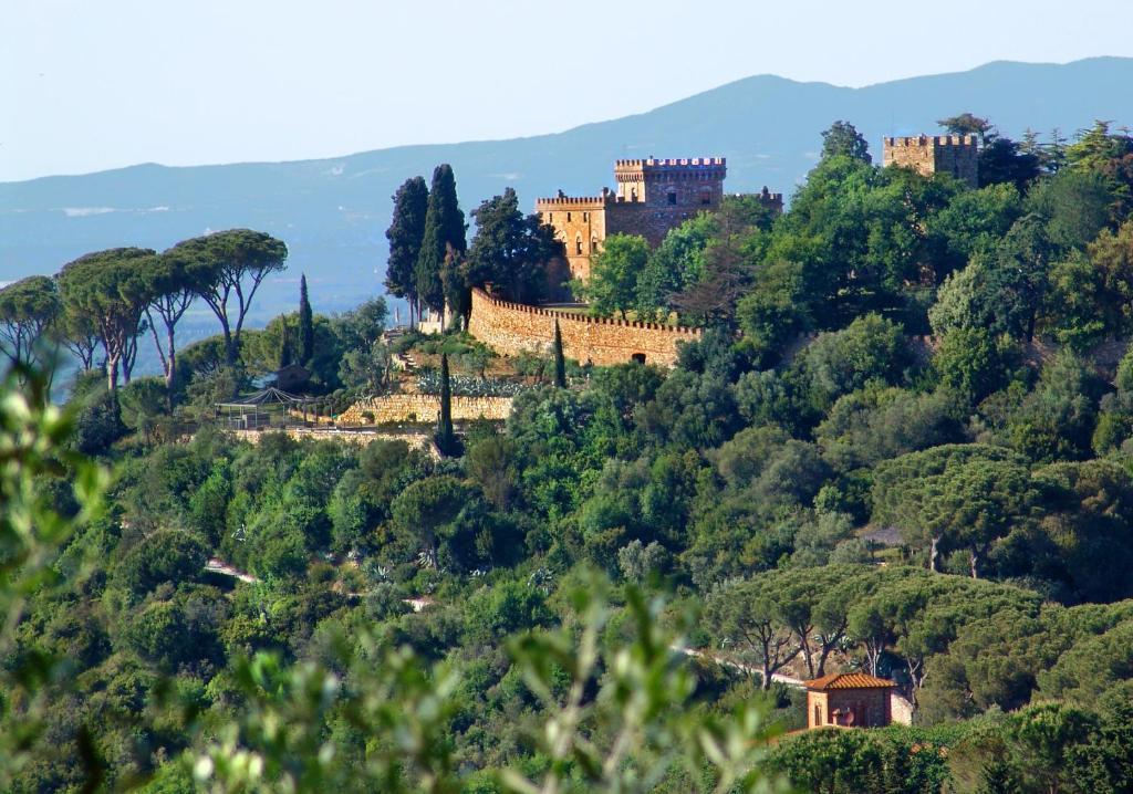 All'Etrusconia Hotel Castagneto Carducci Marina di Castagneto Carducci Eksteriør billede