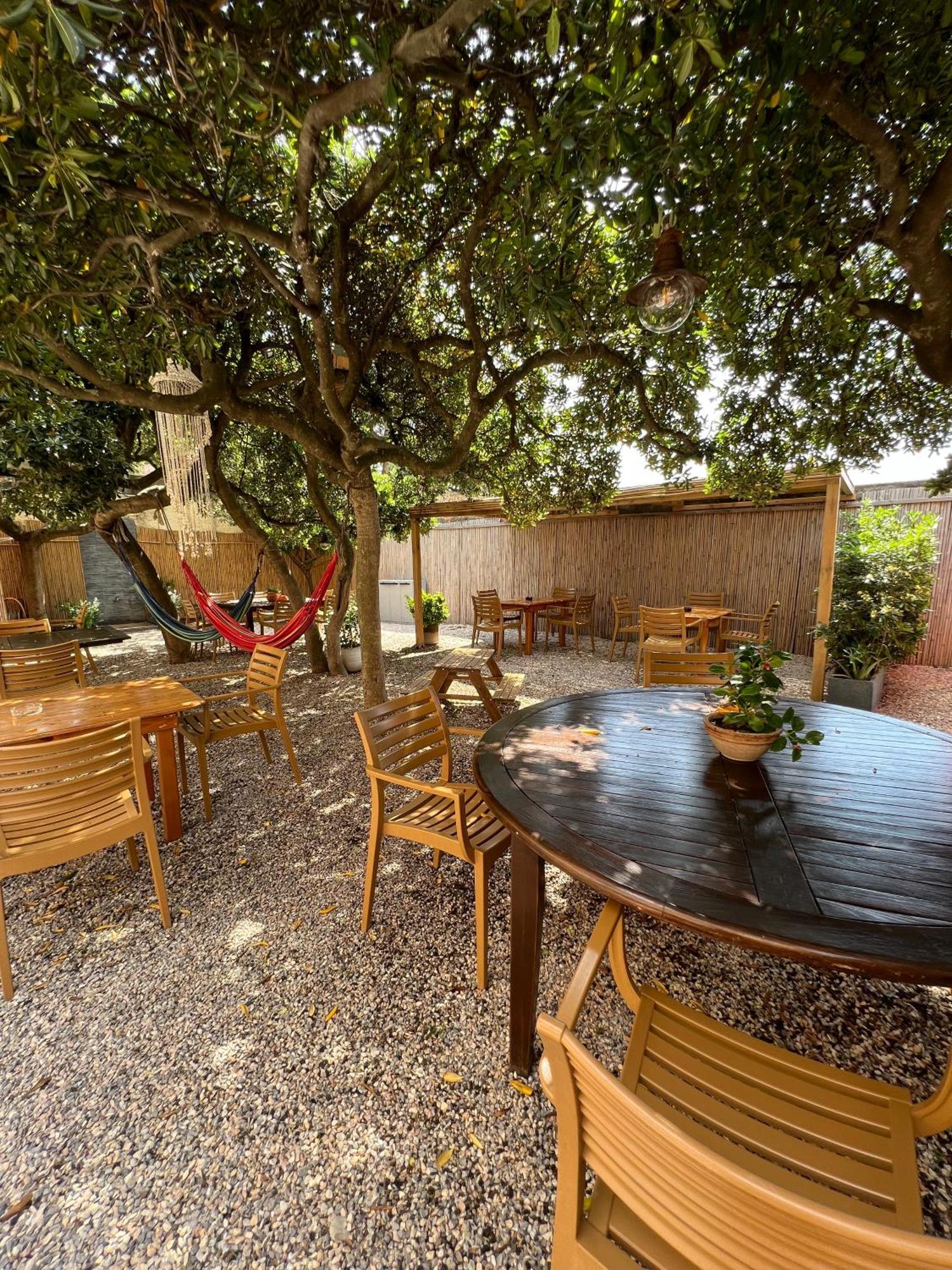 All'Etrusconia Hotel Castagneto Carducci Marina di Castagneto Carducci Eksteriør billede