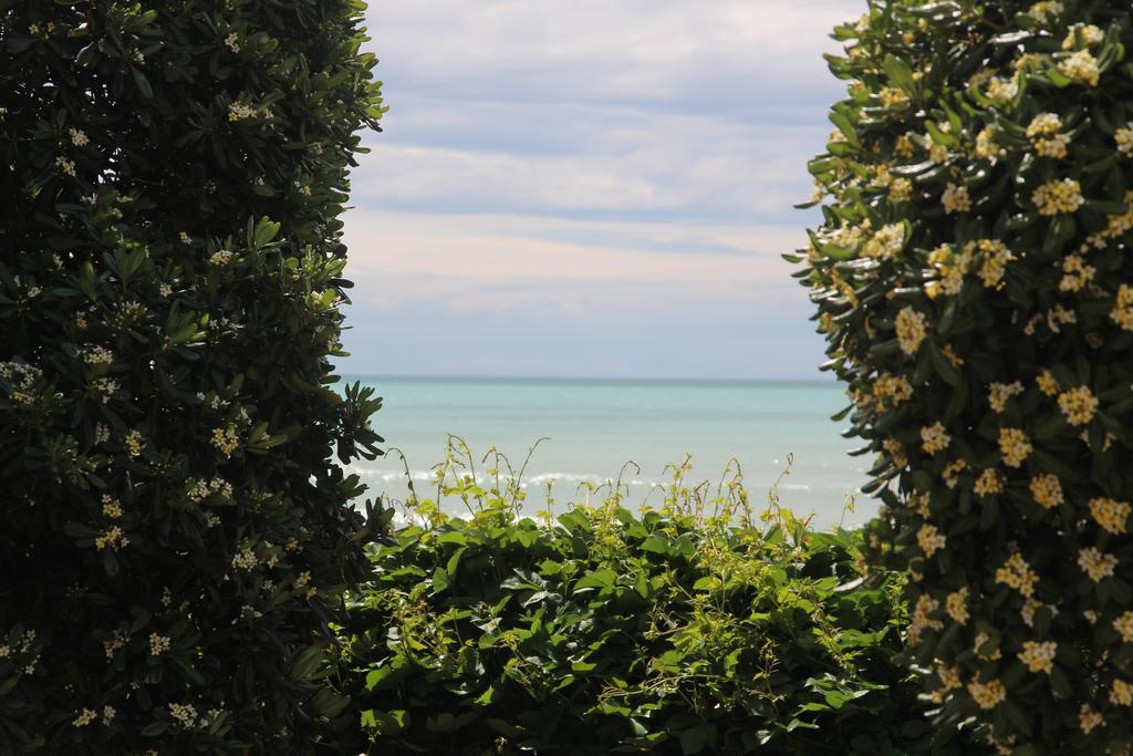 All'Etrusconia Hotel Castagneto Carducci Marina di Castagneto Carducci Eksteriør billede